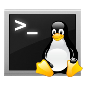 linux shell scripting in hivi technology