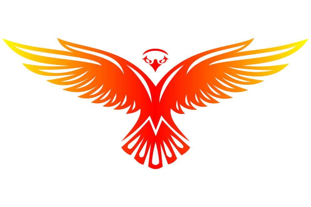 bird, wings, logo-7122682.jpg